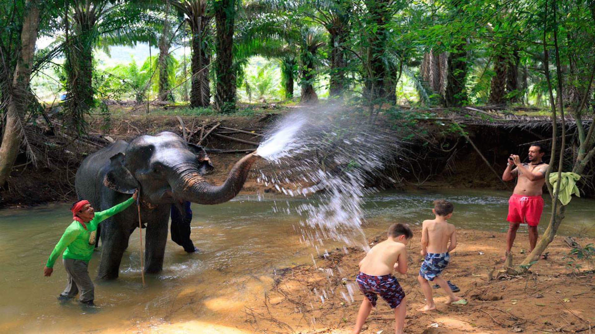 KHAO SOK ELEPHANT SANCTUARY