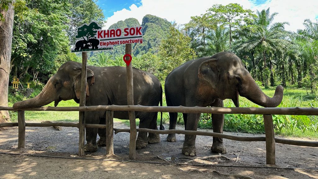 KHAOSOK ELEPHANT SANCTUARY