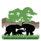 KHAO SOK ELEPHANT SANCTUARY